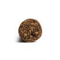 Casa Magna Colorado by Quesada Robusto Cigar - 1 Single (End of Line)